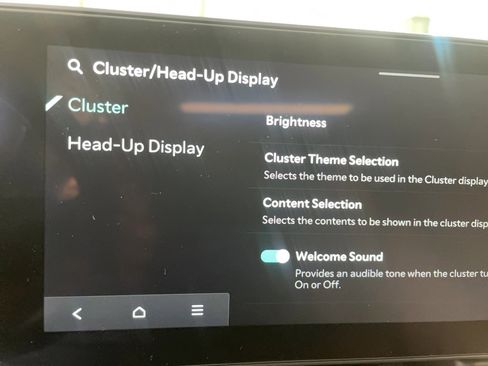 Used 2026 Kia Carnival SX Prestige image 21