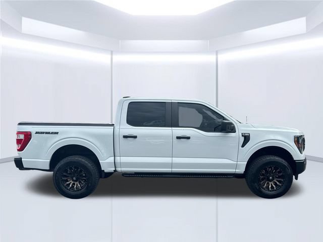 Used 2023 Ford F150 XL w/ Rattler Package AWD/4WD image 12