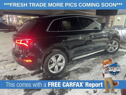 Used 2018 Audi Q5 2.0T Premium Plus w/ Premium Plus Package image 3