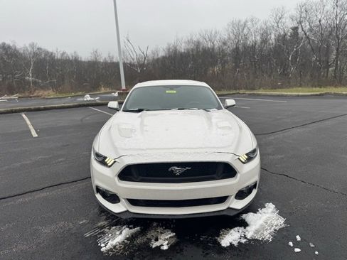 Used 2017 Ford Mustang GT Premium w/ Equipment Group 401A image 8