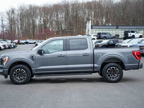 Used 2023 Ford F150 XLT w/ Equipment Group 302A High image 8