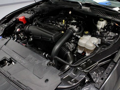 Certified 2024 Ford Mustang Premium image 19