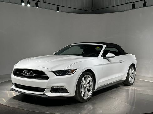Used 2015 Ford Mustang Premium w/ Equipment Group 201A RWD image 83