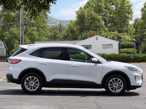 Used 2020 Ford Escape SE AWD/4WD image 6