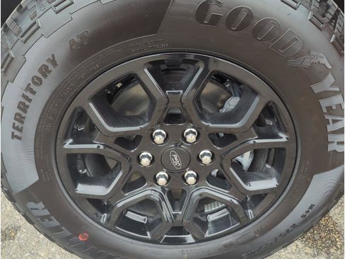 New 2025 Ford F150 XLT w/ Equipment Group 302A MID image 29