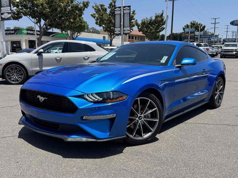 Used 2019 Ford Mustang Coupe w/ Equipment Group 101A RWD image 1