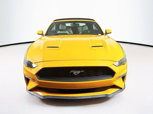 Used 2019 Ford Mustang Premium image 2