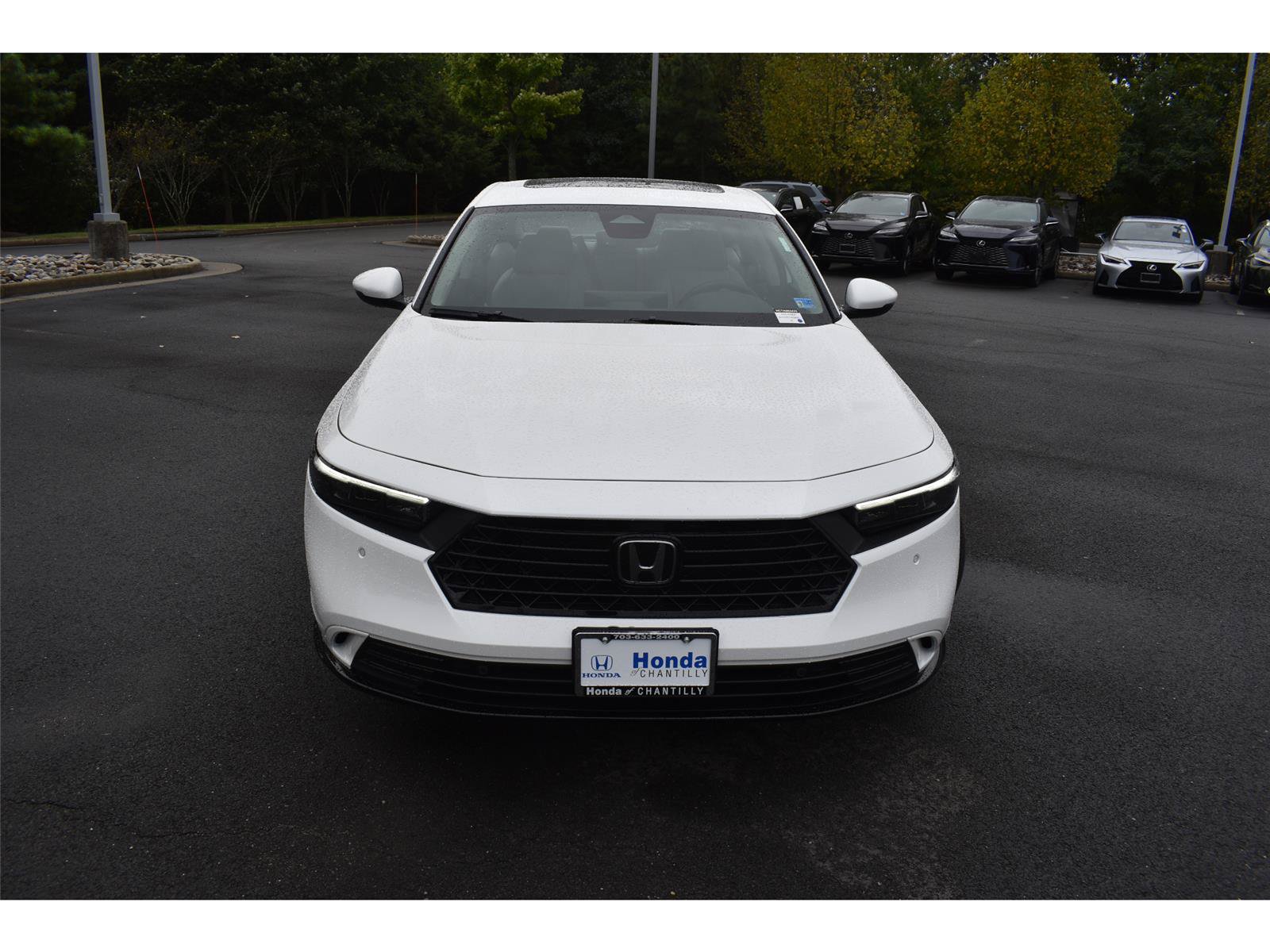 New 2026 Honda Accord Hybrid EX-L image 2