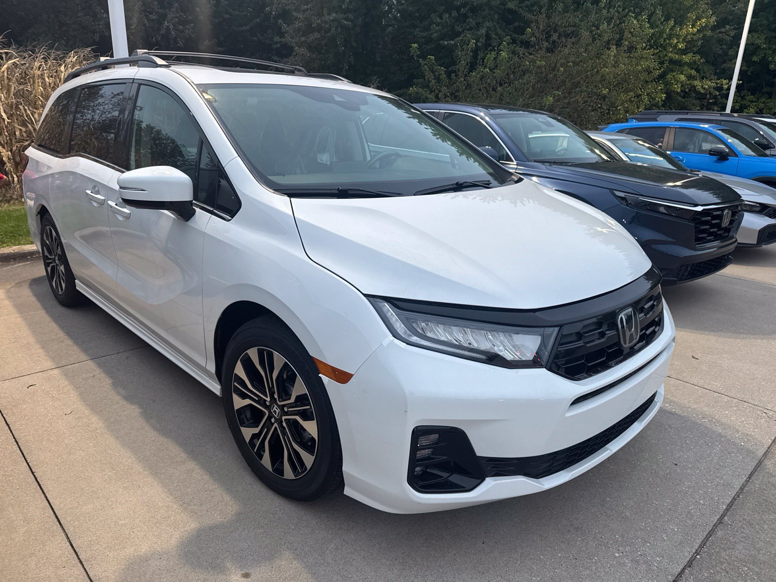 New 2026 Honda Odyssey Elite image 4