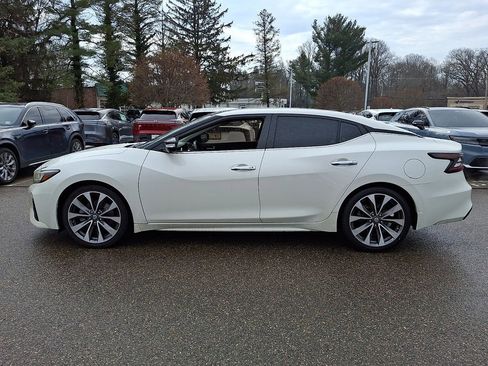 Used 2019 Nissan Maxima Platinum w/ Sport Mat Group image 5