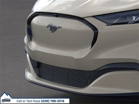 New 2025 Ford Mustang Mach-E Premium w/ Interior Protection Package image 38