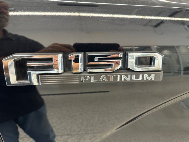 Used 2019 Ford F150 Platinum AWD/4WD image 17