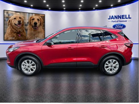 Used 2025 Ford Escape Active w/ Active Premium Tech Pack AWD/4WD image 9