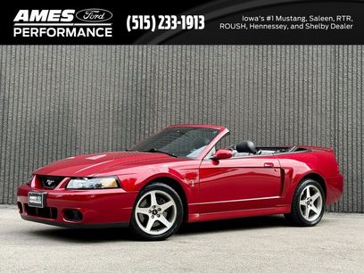 Used 2003 Ford Mustang Cobra