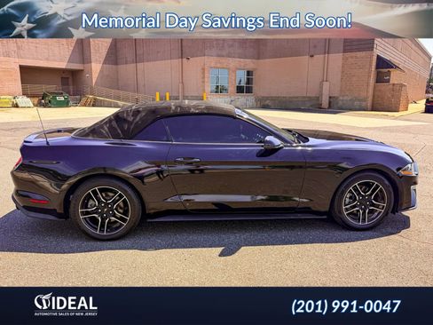 Used 2018 Ford Mustang Premium w/ Equipment Group 201A RWD image 9