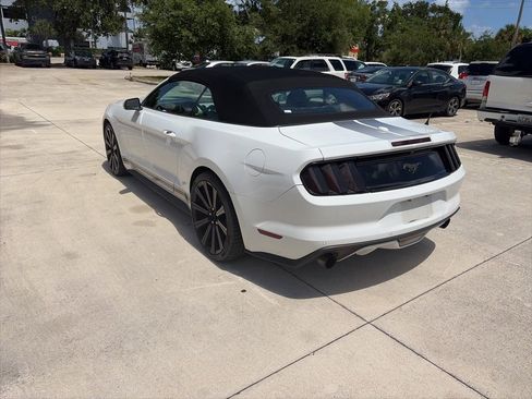 Used 2016 Ford Mustang Premium w/ Equipment Group 201A image 5