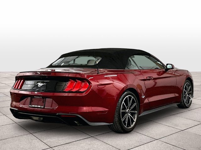 Used 2019 Ford Mustang Premium w/ Equipment Group 201A RWD image 11