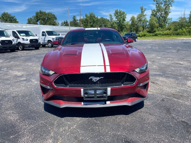 Used 2019 Ford Mustang GT Premium w/ Equipment Group 401A RWD image 15