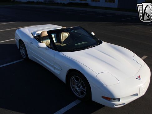 Used 1998 Chevrolet Corvette Convertible image 15