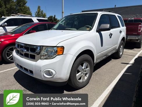 Used 2009 Ford Escape XLT FWD image 1