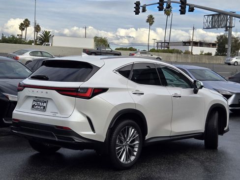 Used 2024 Lexus NX 350 350 Luxury image 4