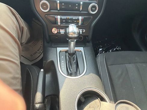 Used 2019 Ford Mustang GT w/ Equipment Group 301A image 20