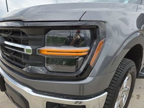 Used 2025 Ford F150 XLT w/ Equipment Group 301A Standard AWD/4WD image 6