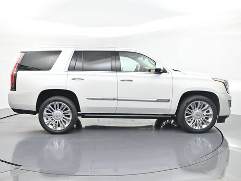 Used 2016 Cadillac Escalade Platinum AWD/4WD image 6