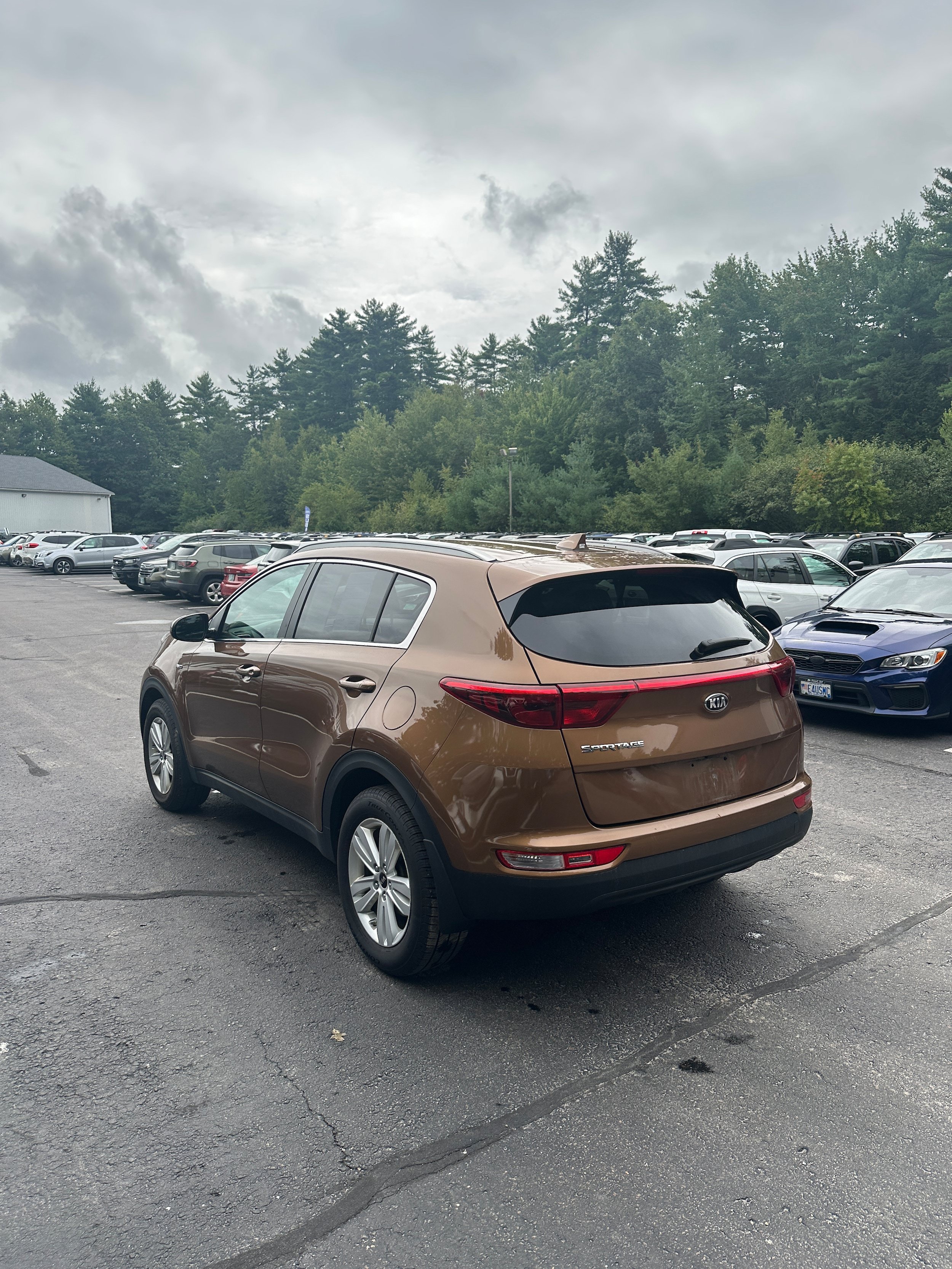 Used 2019 Kia Sportage LX w/ LX Popular Package AWD/4WD image 7