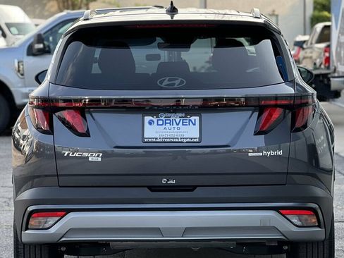 Used 2025 Hyundai Tucson Blue AWD/4WD image 4