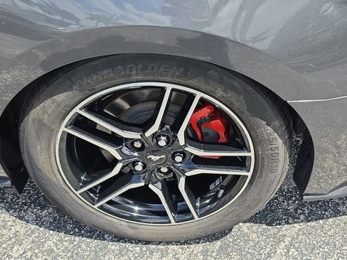 Used 2019 Ford Mustang GT w/ Equipment Group 301A RWD image 7