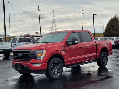 Used 2021 Ford F150 XLT w/ Equipment Group 302A High image 8