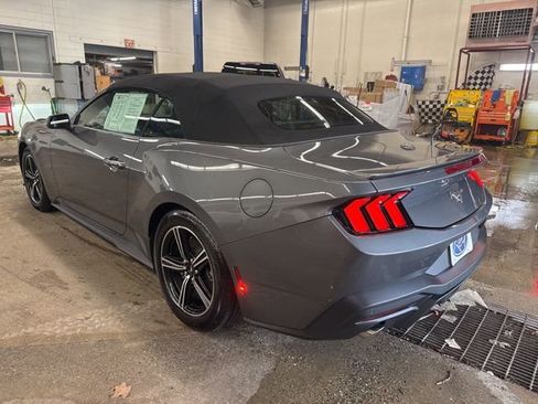 Used 2025 Ford Mustang Premium RWD image 4