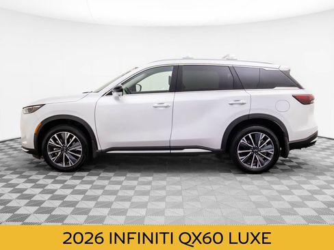 Certified 2026 INFINITI QX60 Luxe w/ Cargo Package image 3