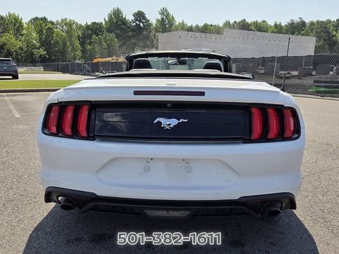 Used 2019 Ford Mustang Premium RWD image 4