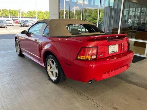 Used 1999 Ford Mustang Cobra RWD image 12