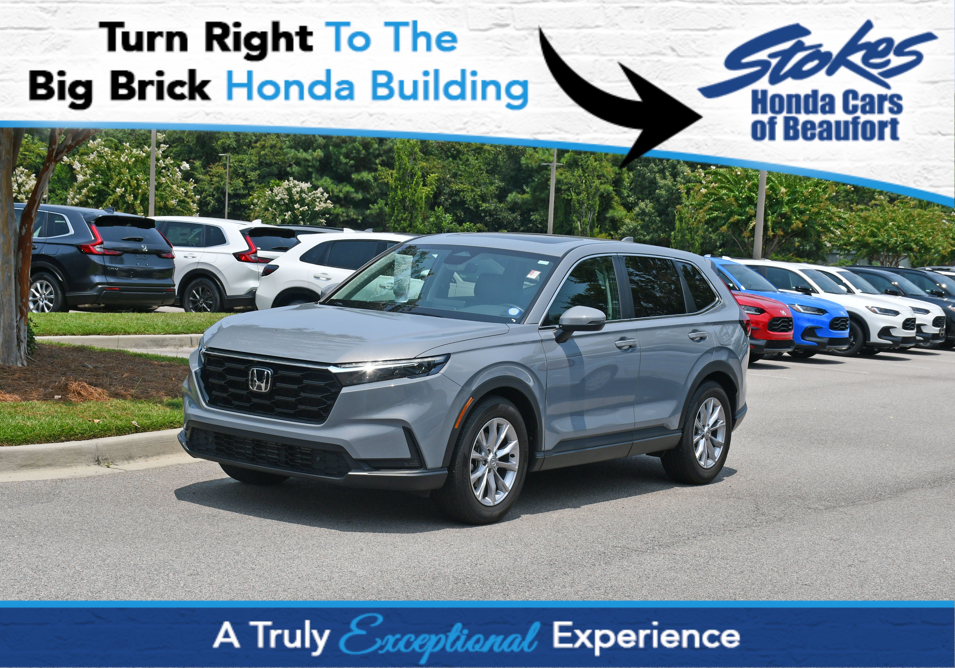 Used 2025 Honda CR-V EX-L image 1