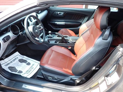 Used 2015 Ford Mustang GT Premium w/ Equipment Group 401A RWD image 7
