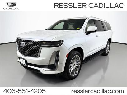 Used 2021 Cadillac Escalade ESV Premium Luxury w/ LPO, Illumination Package