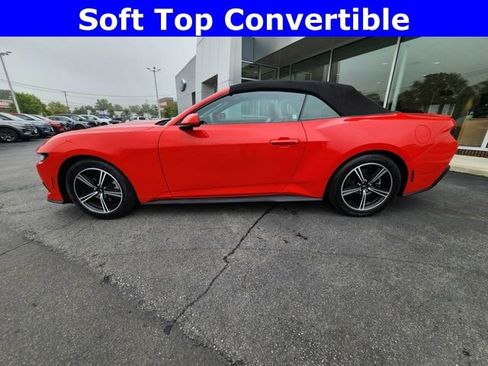 Used 2024 Ford Mustang Premium image 4