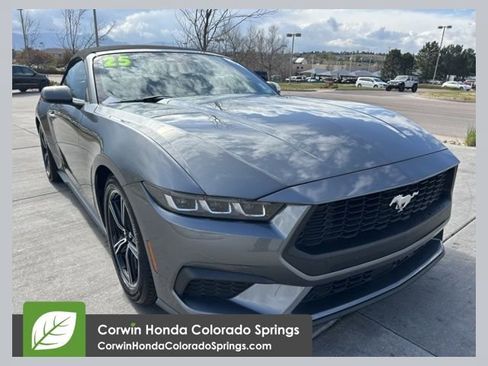 Used 2025 Ford Mustang Premium RWD image 1