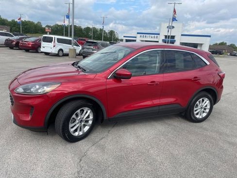 Used 2020 Ford Escape SE FWD image 4