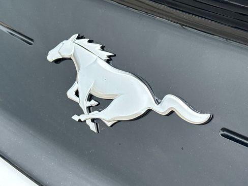 Used 2019 Ford Mustang Coupe RWD image 9