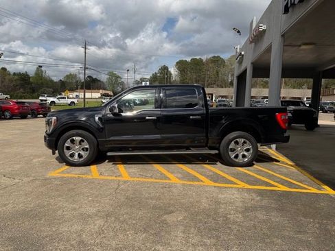 Used 2023 Ford F150 Platinum RWD image 5