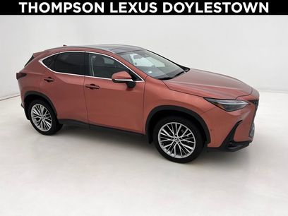 Used 2025 Lexus NX 300h AWD w/ Luxury Package