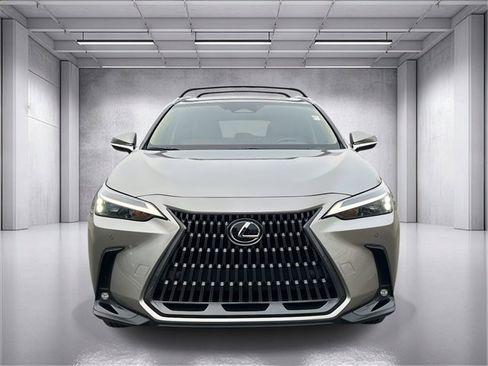 Used 2025 Lexus NX 250 FWD w/ Premium Package image 8