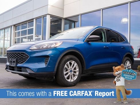 Used 2022 Ford Escape SE AWD/4WD image 3
