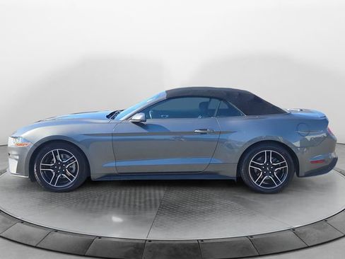 Used 2023 Ford Mustang Premium image 2