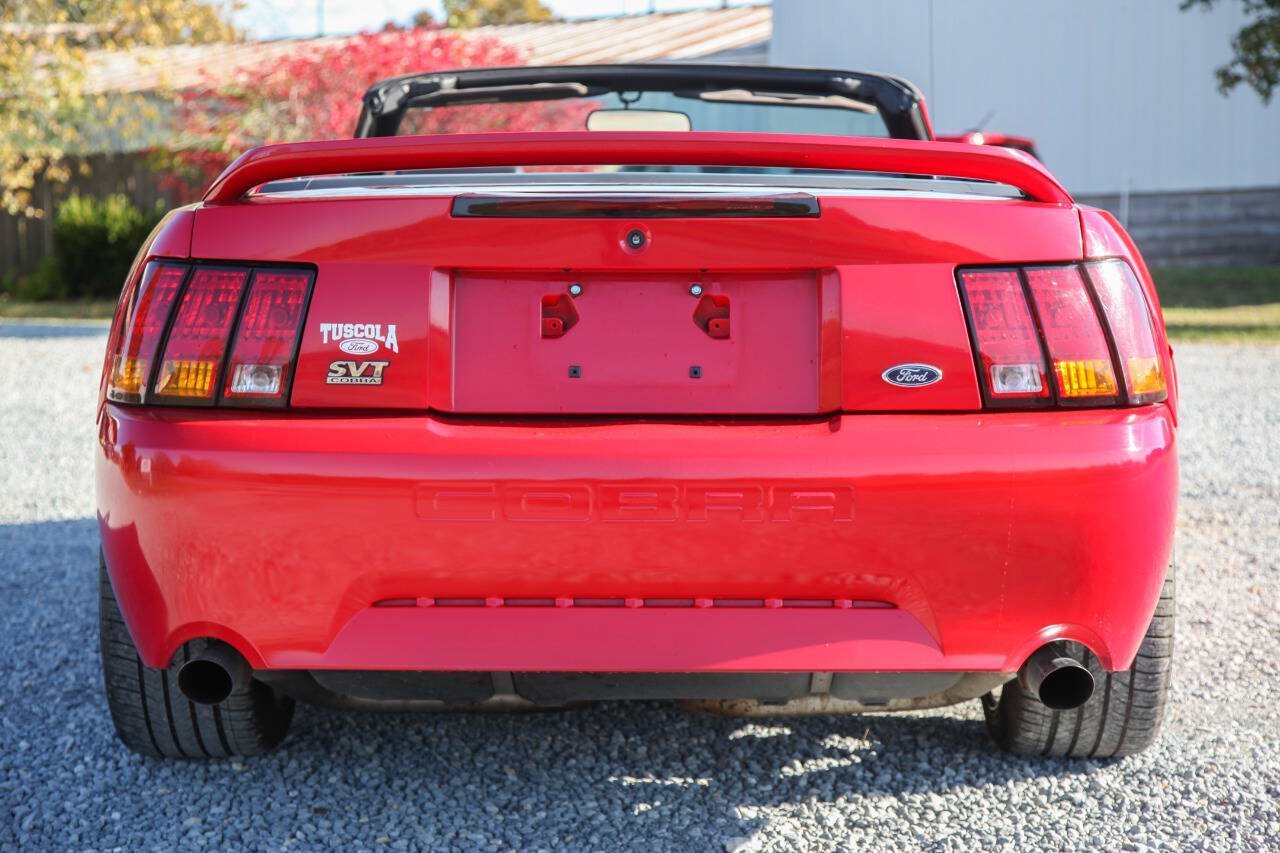 Used 1999 Ford Mustang Cobra RWD image 15
