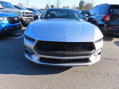 New 2026 Ford Mustang Coupe w/ Mustang Nite Pony Package image 2